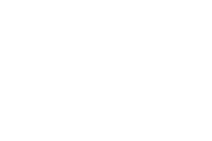 Fenix